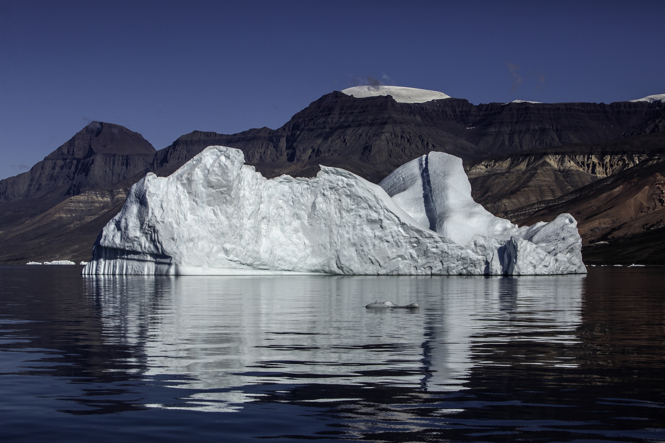Global Warming Iceberg